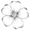 skinrevival.it favicon